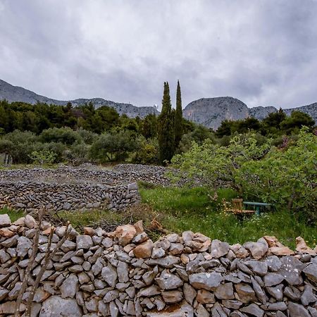 Pension Kathi Brist Exterior foto